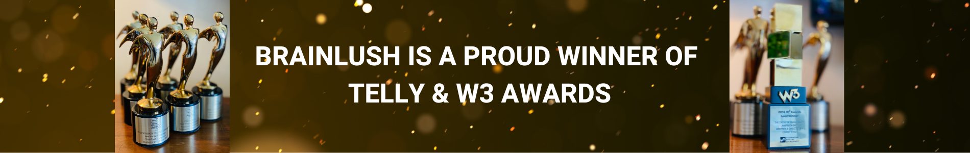 award-winning team-w3-telly awards
