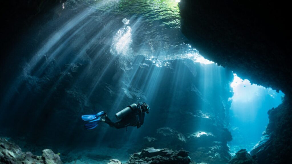 xr:d:DAFprvoW U:44,j:163653221428444615,t:23072612