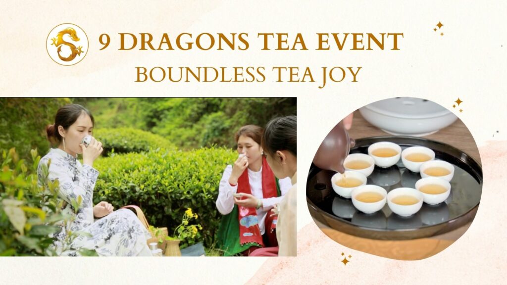brainlush-branding case study-9 dragons tea-tea event-service form extension